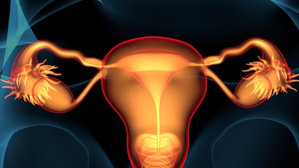 Ovary Cancer Treatment in Shalimar Bagh