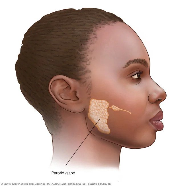 Best parotid surgery in Shalimar Bagh